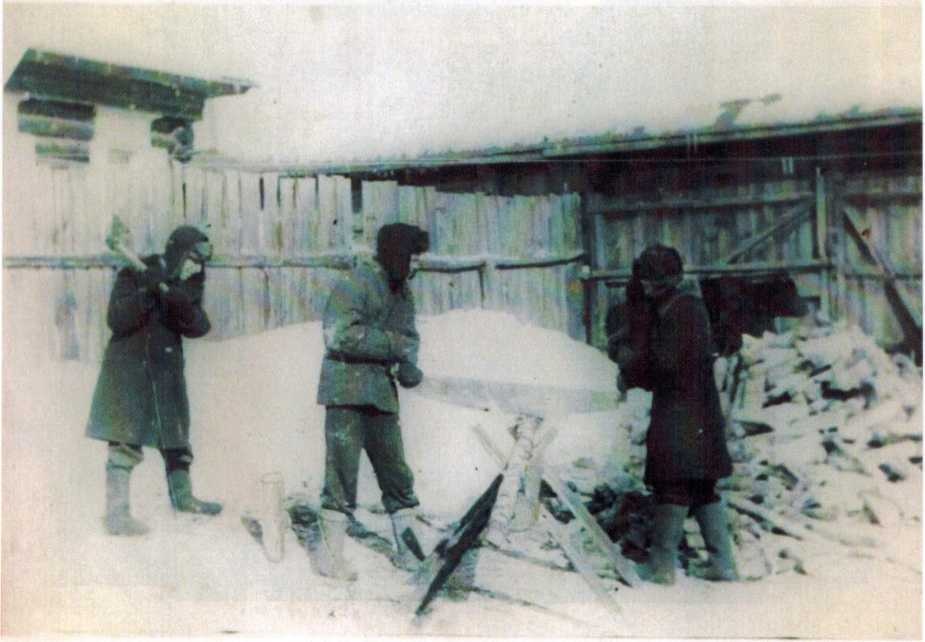 1936 год, так выглядели дворы в частных домах