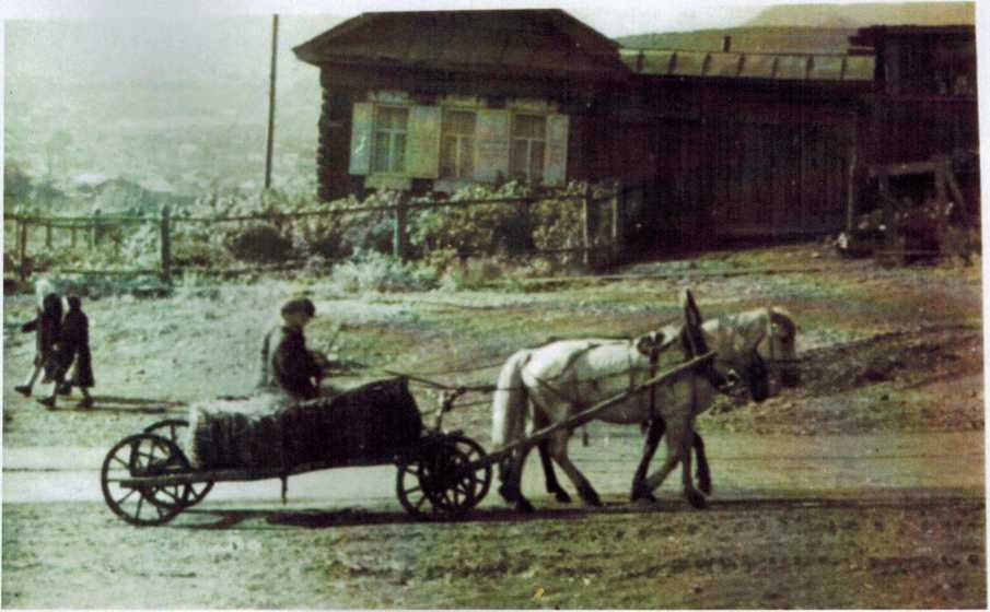 До 1988 года в Белорецке можно было встретить гужевой транспорт