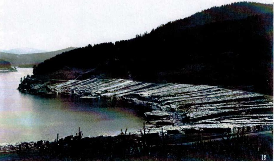 В конце 19 начале 20 века на пологом удобном берегу хранился заготовленный лес для нужд завода