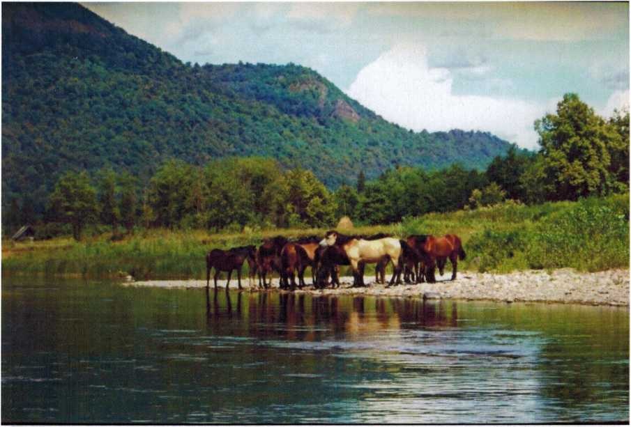 Река Белая, фото С. Скурлатовой