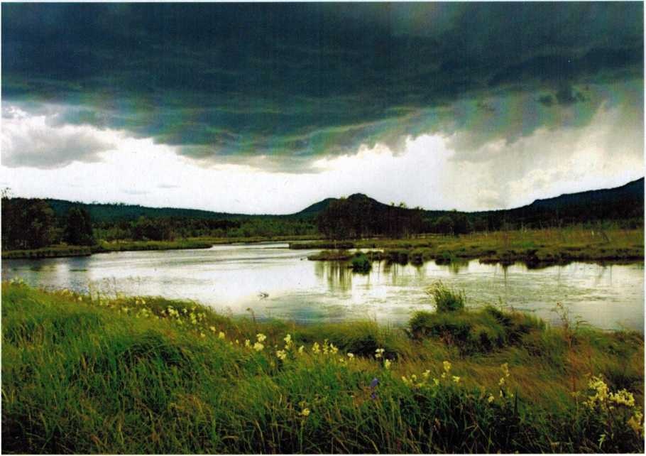 Журавлиное болото, фото А. Крепышева и О. Смирнова 2009 года