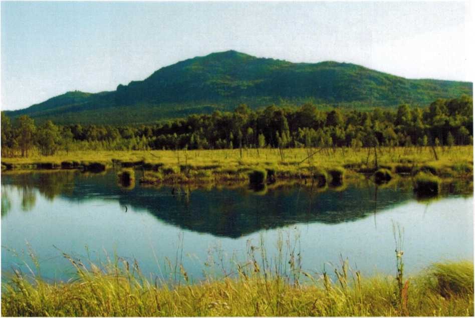 Журболото у горы Ялангас, фото А. Крепышева и О. Смирнова 2009 года