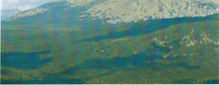 Вид с горы Маярдак на гору Ямантау, фото О. Игиташева 2014 года