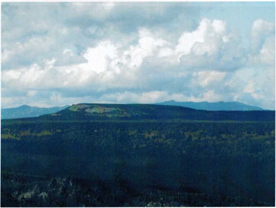 Быковская поляна, вдали хребет Нары, фото О. Игиташева 2014 года