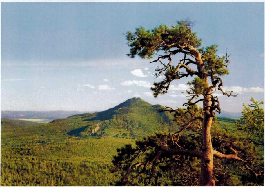 Вид с горы Широкой на третью Малиновку, фото А. Минина