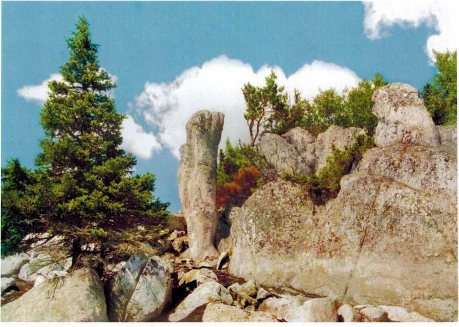 Каменные изваяния на горе Ялангас, фото А. Минина