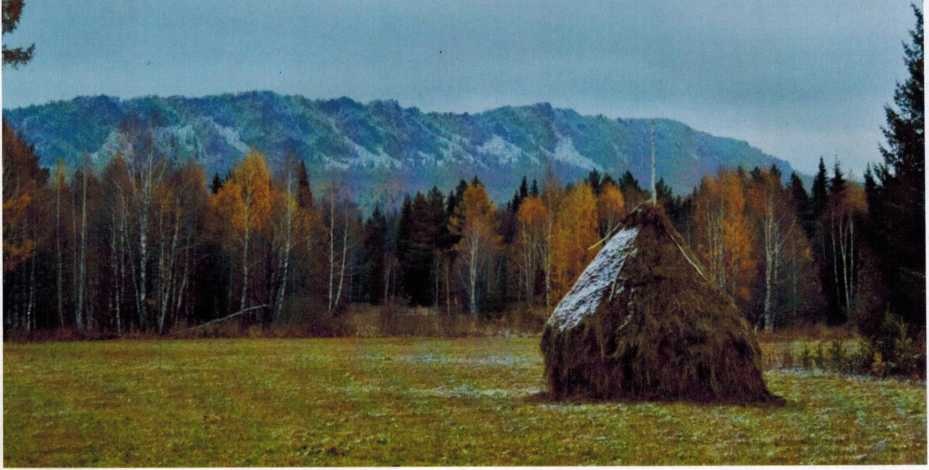 Верхняя Арша, хребет Кумардак- осень, фото А. В. Борискова