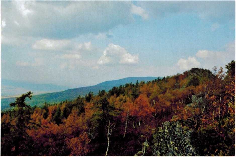 Гора Шатак, фото А. В. Борискова