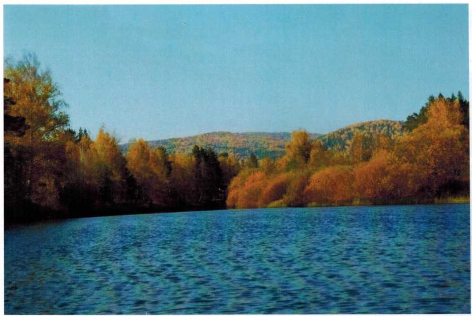 Верховье реки Белой, фото А. В. Борискова