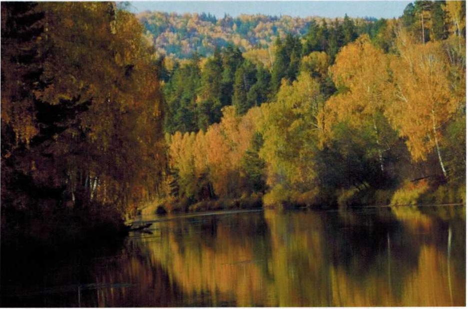 Осень на Белой, фото А. В. Борискова