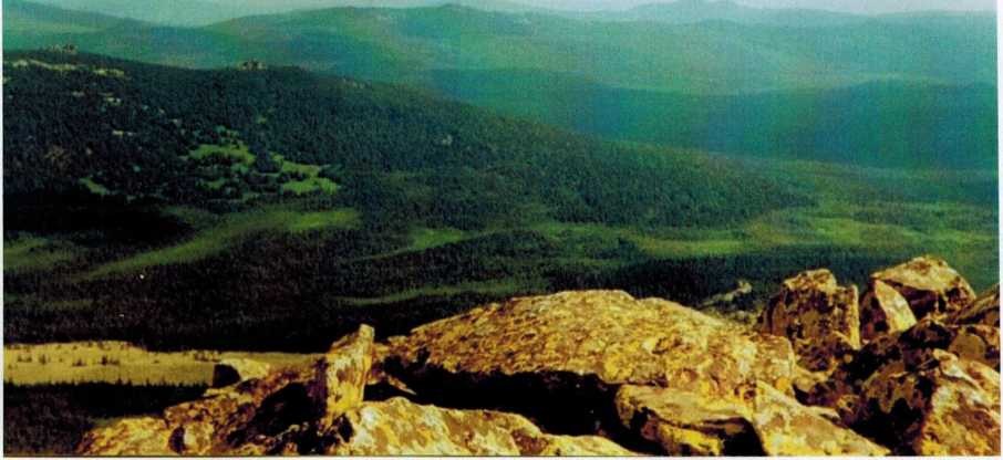 Вид с горы Куянтау на Каменную реку, Куянтавские болота, гору Шик- таш, вдали горы Третья Малиноавя и справа Кирель фото А.Крепышева 1997года