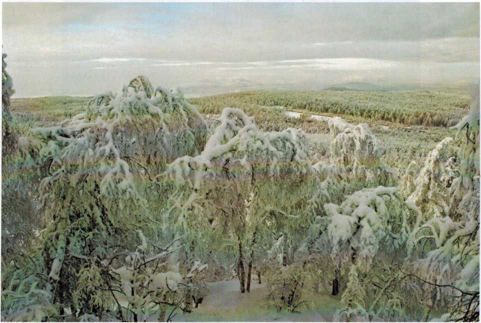 Вид с горы Малый Курташ, фото О. Колесниковой