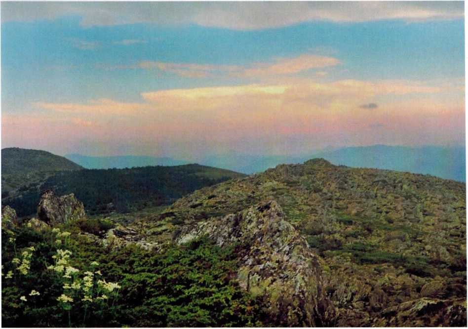На вершине хребта Машак, фото А. Крепышева 2002 года