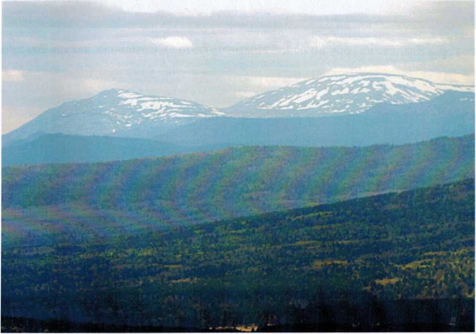 Горы Куянтау (Малый Ямантау) и Ямантау с хребта Баштур около деревни Николаевки, фото О. Смирнова и А. Крепышева 2009 года