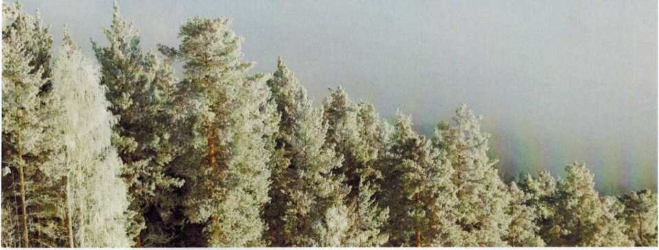 Вид с горы Мраткино на хребет Мазара, фото О. Симанова