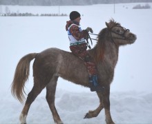 Соревнования по конному спорту «Аҡбуҙат» - «Крылатый конь»