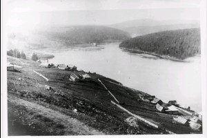 Раздел 1. Глава 1.1 Вводная часть