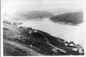 Раздел 1. Глава 1.1 Вводная часть