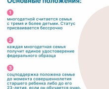 Указ о мерах социальной поддержки многодетных семей