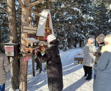 Ученики Гимназии города Белорецка подкармливают зимующих птиц