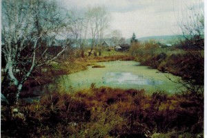 Том 1. Глава 6. Лука