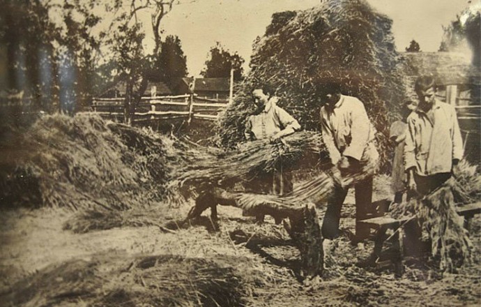 Глава 4. Приключения на покосе