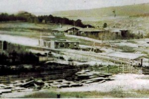 Том 3. Глава 25. Детские учреждения