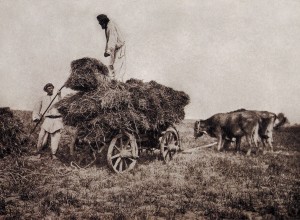 Глава 3. И все-таки, счастливая пора