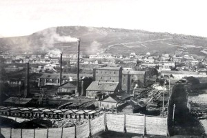 Глава 25. Бабушкины щи