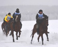 Соревнования по конному спорту «Аҡбуҙат» - «Крылатый конь»