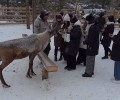 Этнопарк «Северные олени» в г. Белорецк продолжает работать!