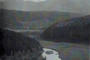 Раздел 1. Предисловие к книге