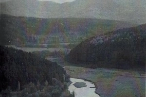 Раздел 1. Предисловие к книге