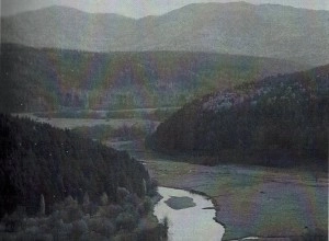 Раздел 1. Предисловие к книге