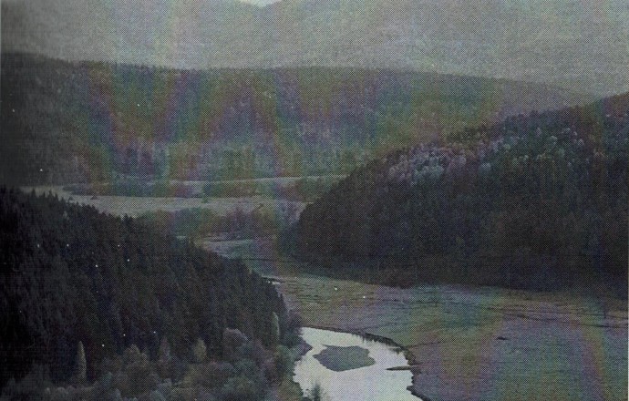 Раздел 1. Предисловие к книге