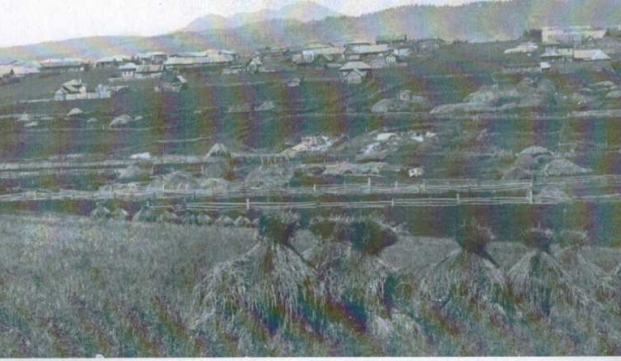 Том 2. Глава 13. Заматинский район