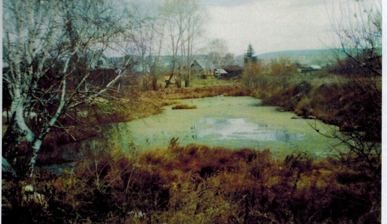 Том 1. Глава 6. Лука