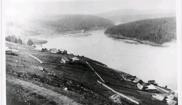Раздел 1. Глава 1.1 Вводная часть